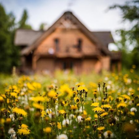 Brzozowy Gaj Bed and Breakfast Glowczyce Εξωτερικό φωτογραφία
