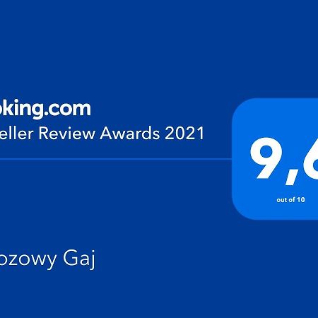 Brzozowy Gaj Bed and Breakfast Glowczyce Εξωτερικό φωτογραφία