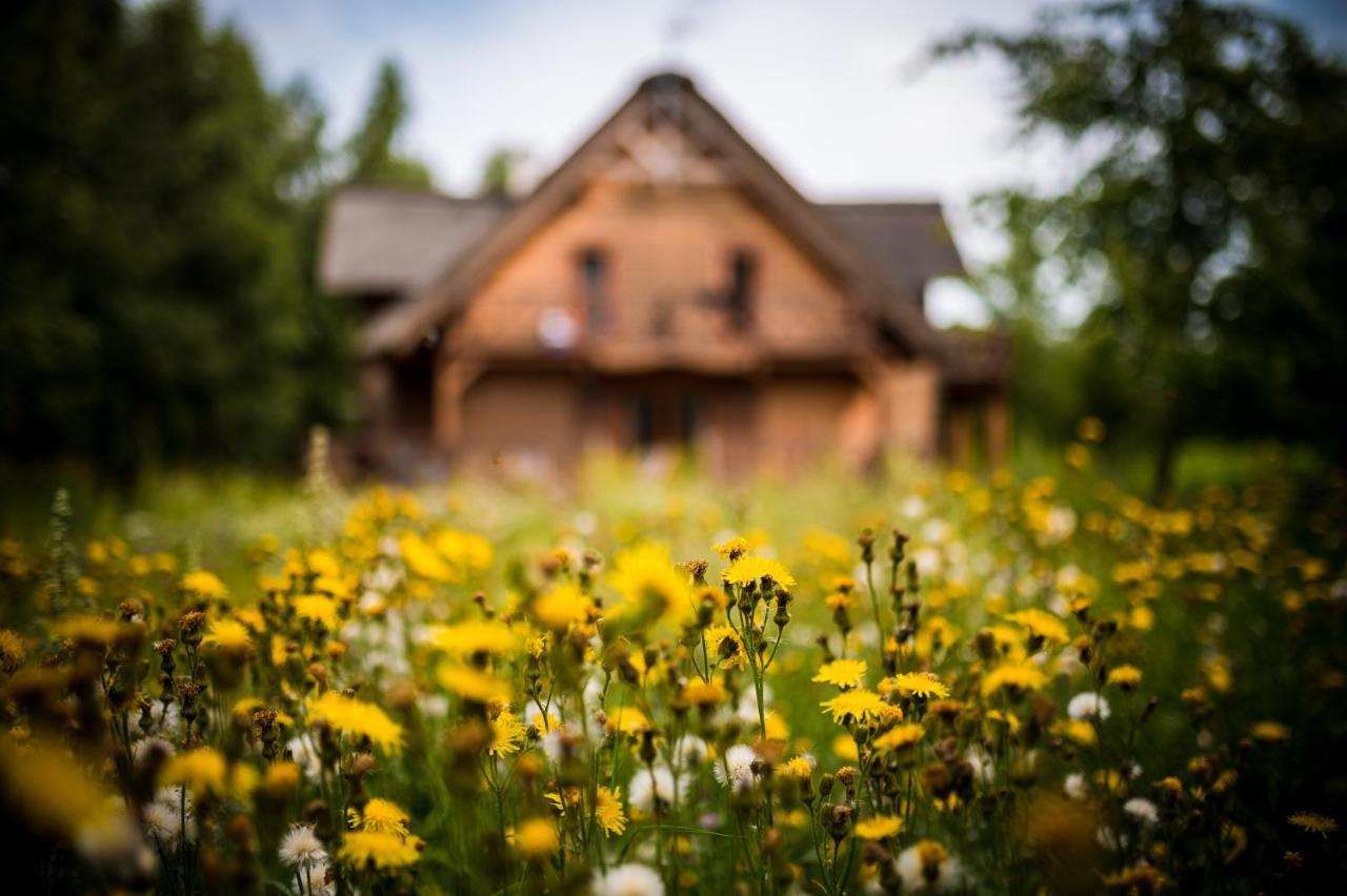 Brzozowy Gaj Bed and Breakfast Glowczyce Εξωτερικό φωτογραφία
