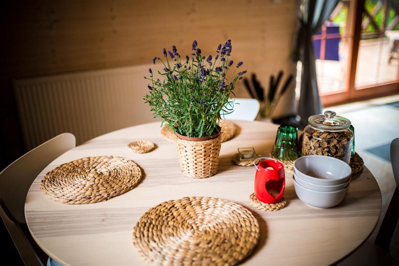 Brzozowy Gaj Bed and Breakfast Glowczyce Εξωτερικό φωτογραφία