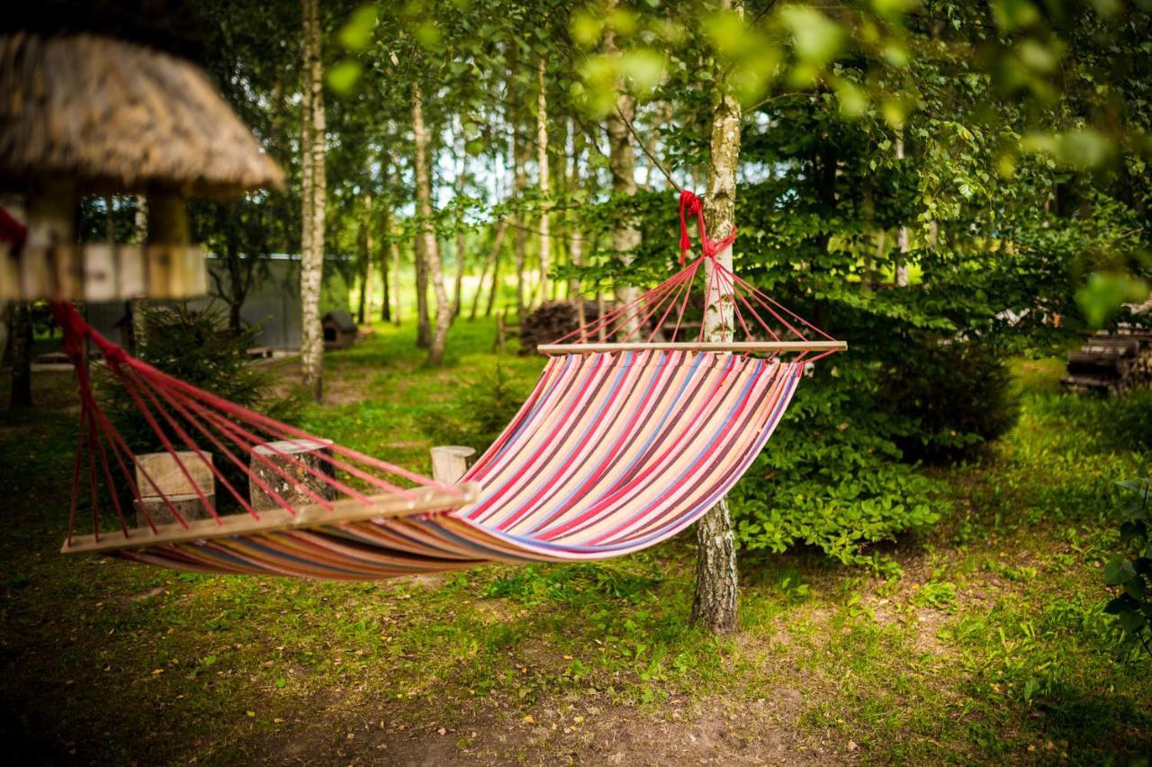 Brzozowy Gaj Bed and Breakfast Glowczyce Εξωτερικό φωτογραφία
