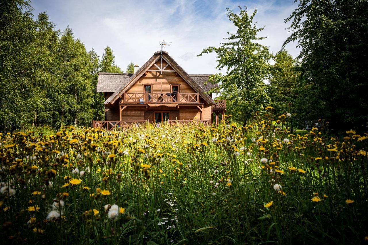 Brzozowy Gaj Bed and Breakfast Glowczyce Εξωτερικό φωτογραφία