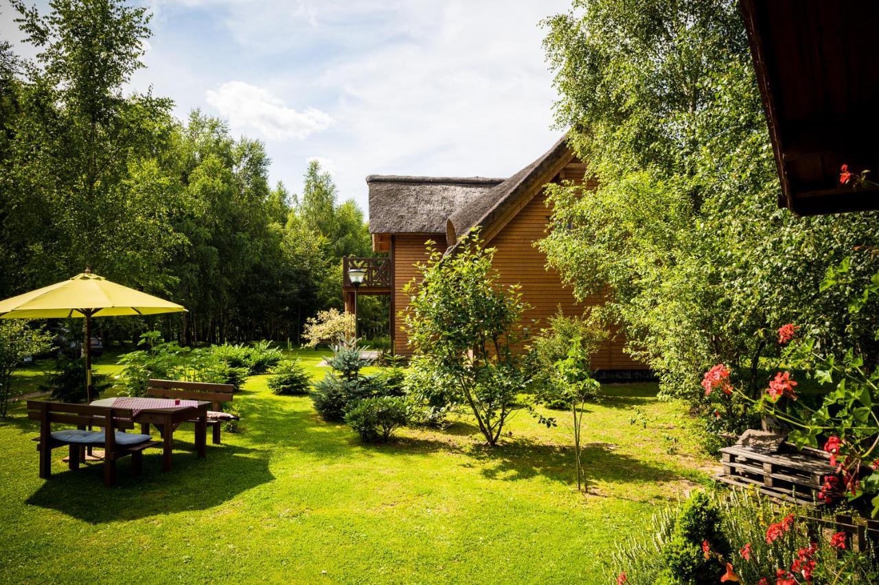 Brzozowy Gaj Bed and Breakfast Glowczyce Εξωτερικό φωτογραφία