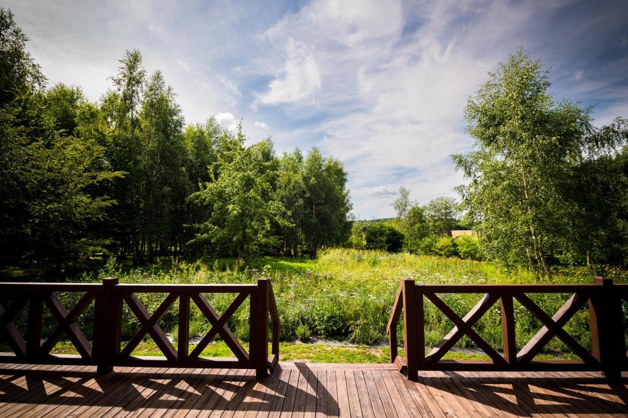 Brzozowy Gaj Bed and Breakfast Glowczyce Εξωτερικό φωτογραφία